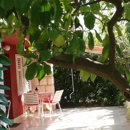 Apartment Petrović Korčula Buitenkant foto